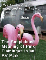 I've been RVing for years, and had no idea. Campers put flamingos at their campsite to identify themselves as a part of the swinging lifestyle. Those who want to meet or interact with others with the same lifestyle will use the flamingos to make it easier for others to spot them. This is a very subtle method for attracting like-minded individuals.